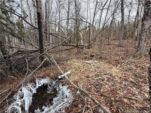 958 Route 710, Codys, NB 