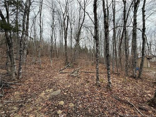 958 Route 710, Codys, NB 