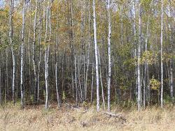 PCL 13643 AKSEL RD Bergland, ON P0W 1M0