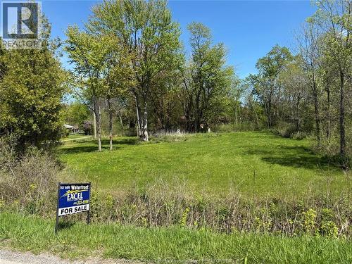 20 Patsy Lane, Pelee Island, ON 