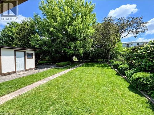 Expansive lawn area featuring a concrete pathway, a detached storage shed with a panel door and small window, and mature perimeter trees and shrubs - 699 Frederick Street, Kitchener, ON 