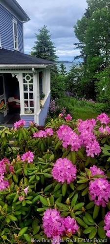 549 Main St, Beaver Harbour, NB 