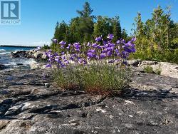 Soak in the beauty of your natural surroundings - 