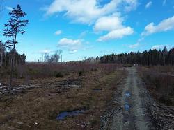 340 Highway Weaver Settlement, NS B0W 3T0
