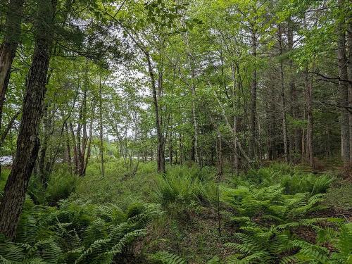 67 Station Road, Kinsac, NS 