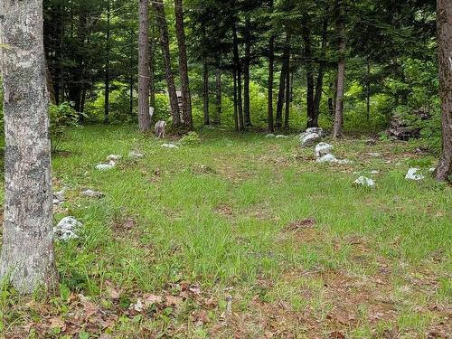 67 Station Road, Kinsac, NS 