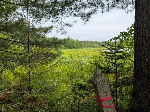 67 Station Road, Kinsac, NS 