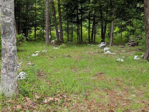 67 Station Road, Kinsac, NS 