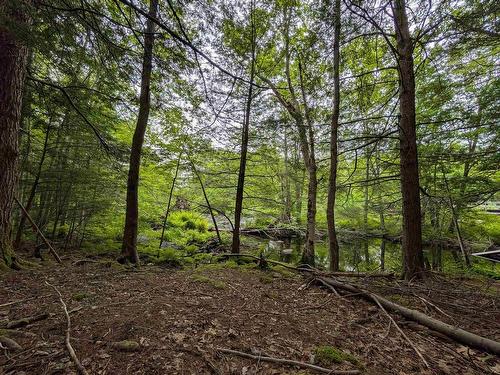 67 Station Road, Kinsac, NS 