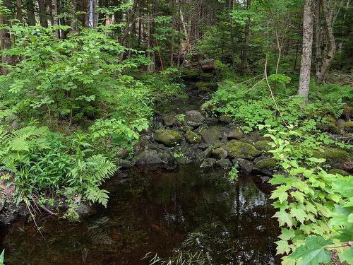 67 Station Road, Kinsac, NS 