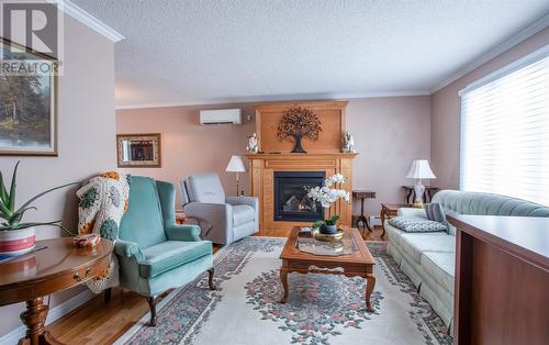 131 Canada Drive, St. John'S, NL - Indoor Photo Showing Living Room With Fireplace