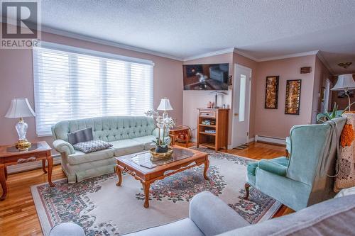 131 Canada Drive, St. John'S, NL - Indoor Photo Showing Living Room