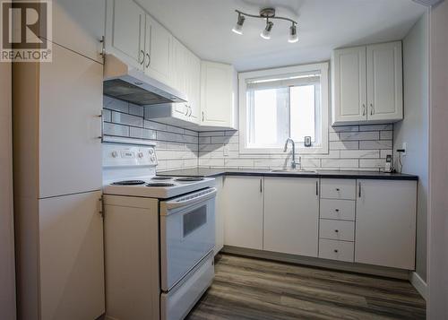 131 Canada Drive, St. John'S, NL - Indoor Photo Showing Kitchen