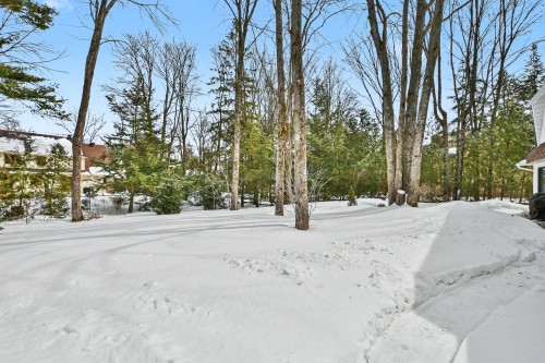 Courtyard - 43 Rue De Charny, Lorraine, QC - Outdoor With View