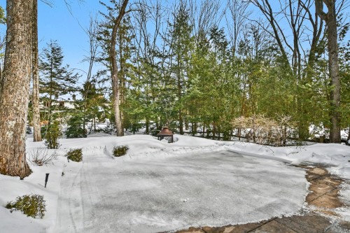 Courtyard - 43 Rue De Charny, Lorraine, QC - Outdoor With View