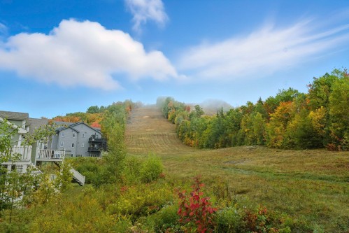 View - 341 Ch. Valanza, Piedmont, QC - Outdoor With View