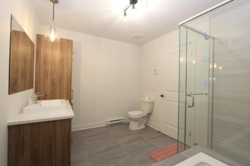 Bathroom - 3888 Rue Bernard-Hubert, Longueuil (Saint-Hubert), QC - Indoor Photo Showing Bathroom