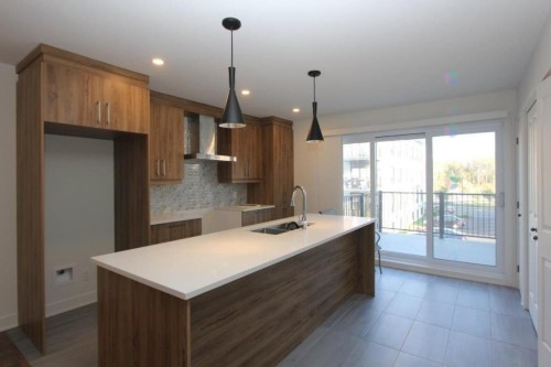Kitchen - 3888 Rue Bernard-Hubert, Longueuil (Saint-Hubert), QC - Indoor Photo Showing Kitchen With Double Sink