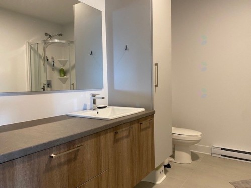 Bathroom - 302-472 Rue Lewis O., Waterloo, QC - Indoor Photo Showing Bathroom