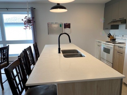 Kitchen - 302-472 Rue Lewis O., Waterloo, QC - Indoor Photo Showing Kitchen With Double Sink