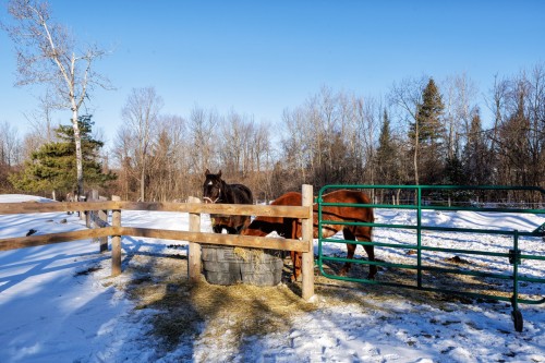 Other - 306 Rue Ganivet, Rigaud, QC - Outdoor