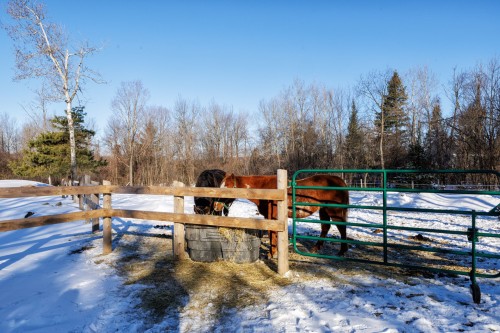 Other - 306 Rue Ganivet, Rigaud, QC - Outdoor