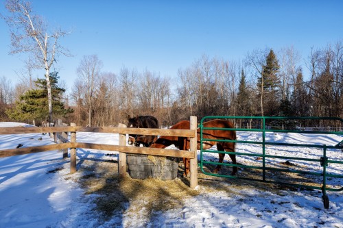 Other - 306 Rue Ganivet, Rigaud, QC - Outdoor