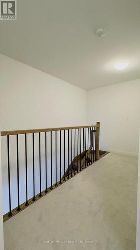 9 Briar Court, Halton Hills, ON - Indoor Photo Showing Other Room