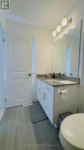 9 Briar Court, Halton Hills, ON - Indoor Photo Showing Bathroom