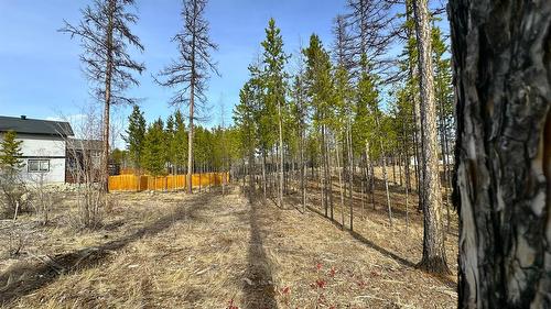 534 Forest Crowne Drive, Kimberley, BC - Outdoor With View