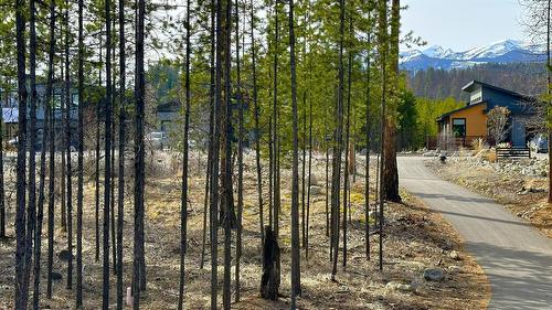 534 Forest Crowne Drive, Kimberley, BC - Outdoor With View