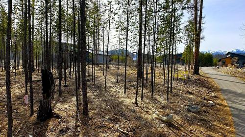 534 Forest Crowne Drive, Kimberley, BC - Outdoor With View