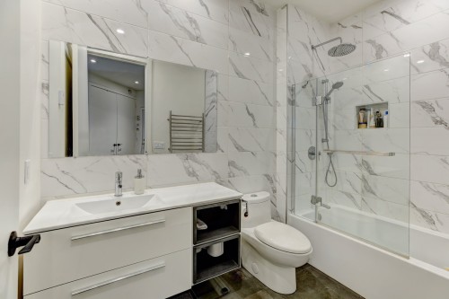 Salle de bains - 201-6500 Av. De L'Esplanade, Montréal (Rosemont/La Petite-Patrie), QC - Indoor Photo Showing Bathroom