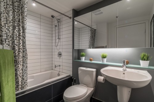 Bathroom - 357-950 Rue Notre-Dame O., Montréal (Le Sud-Ouest), QC - Indoor Photo Showing Bathroom