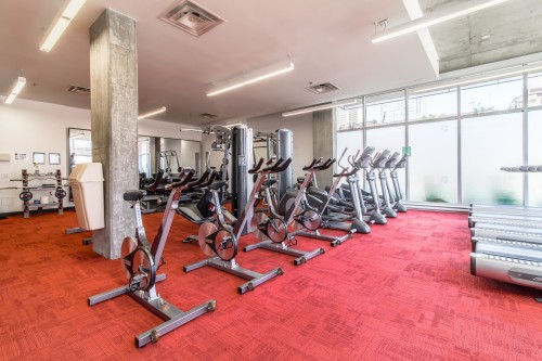 Exercise Room - 357-950 Rue Notre-Dame O., Montréal (Le Sud-Ouest), QC - Indoor Photo Showing Gym Room