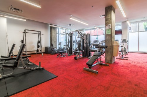 Exercise Room - 357-950 Rue Notre-Dame O., Montréal (Le Sud-Ouest), QC - Indoor Photo Showing Gym Room