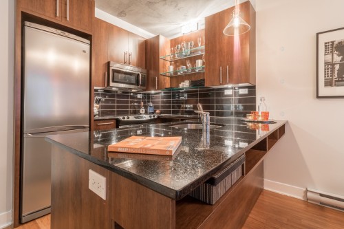 Kitchen - 357-950 Rue Notre-Dame O., Montréal (Le Sud-Ouest), QC - Indoor Photo Showing Kitchen With Upgraded Kitchen