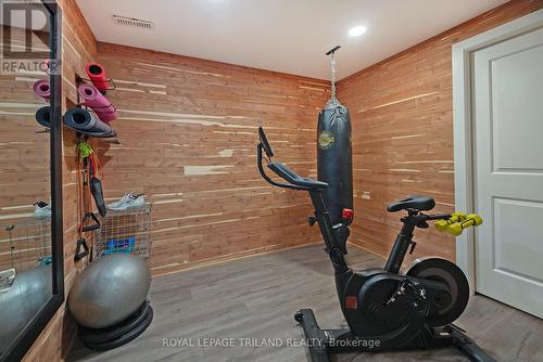 2091 Pennyroyal Street, London North (North D), ON - Indoor Photo Showing Gym Room