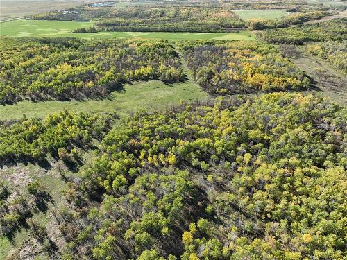 96048 4 Road E, Teulon, MB - Outdoor With View