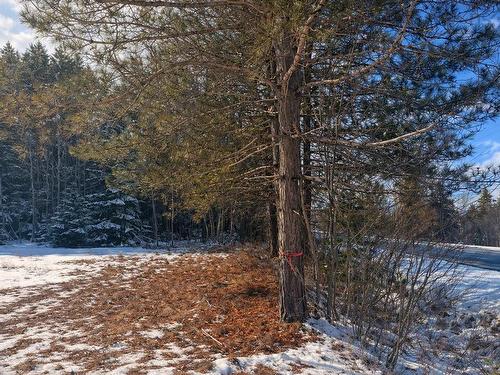 K Highway 321, River Philip, NS 