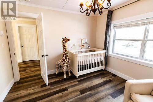 12 Upper Nicholsville Road, Deer Lake, NL - Indoor Photo Showing Bedroom