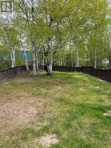 12 Upper Nicholsville Road, Deer Lake, NL 