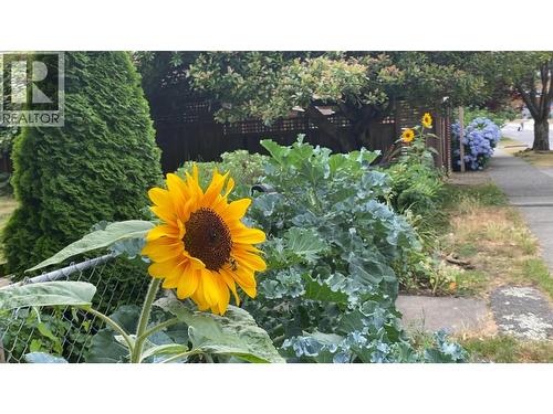 6544 Royal Avenue, West Vancouver, BC - Outdoor
