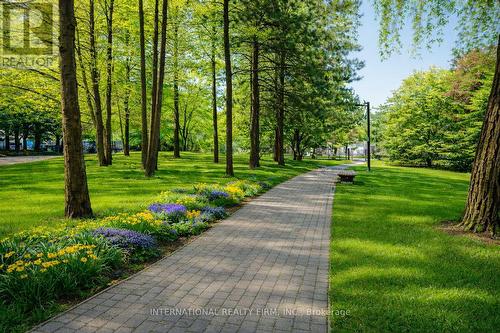 2201 - 3650 Kaneff Crescent, Mississauga, ON - Outdoor With View