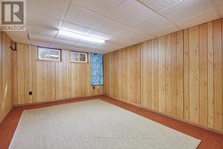 Lower level recreation room - 