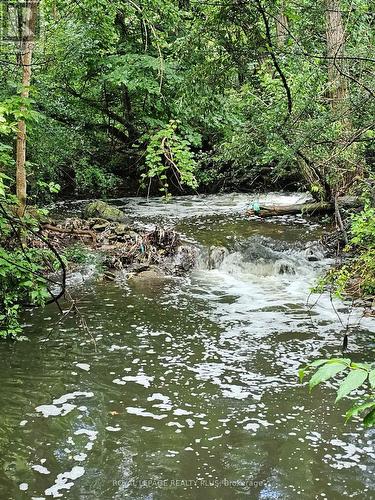 4170 Treetop Crescent, Mississauga, ON - Outdoor With Body Of Water