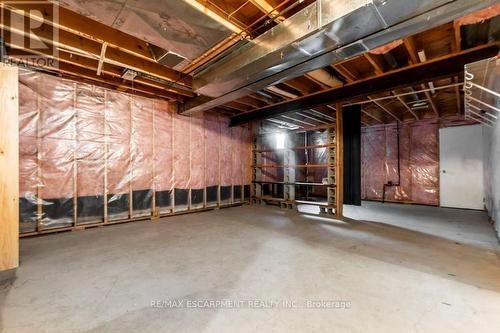 62 Spadara Drive, Hamilton, ON - Indoor Photo Showing Basement