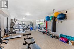 Gym - 
