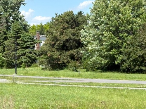 Autre - 1015 Crois. Savard, Brossard, QC - Outdoor With View