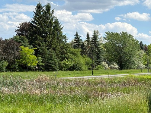 Autre - 1015 Crois. Savard, Brossard, QC - Outdoor With View
